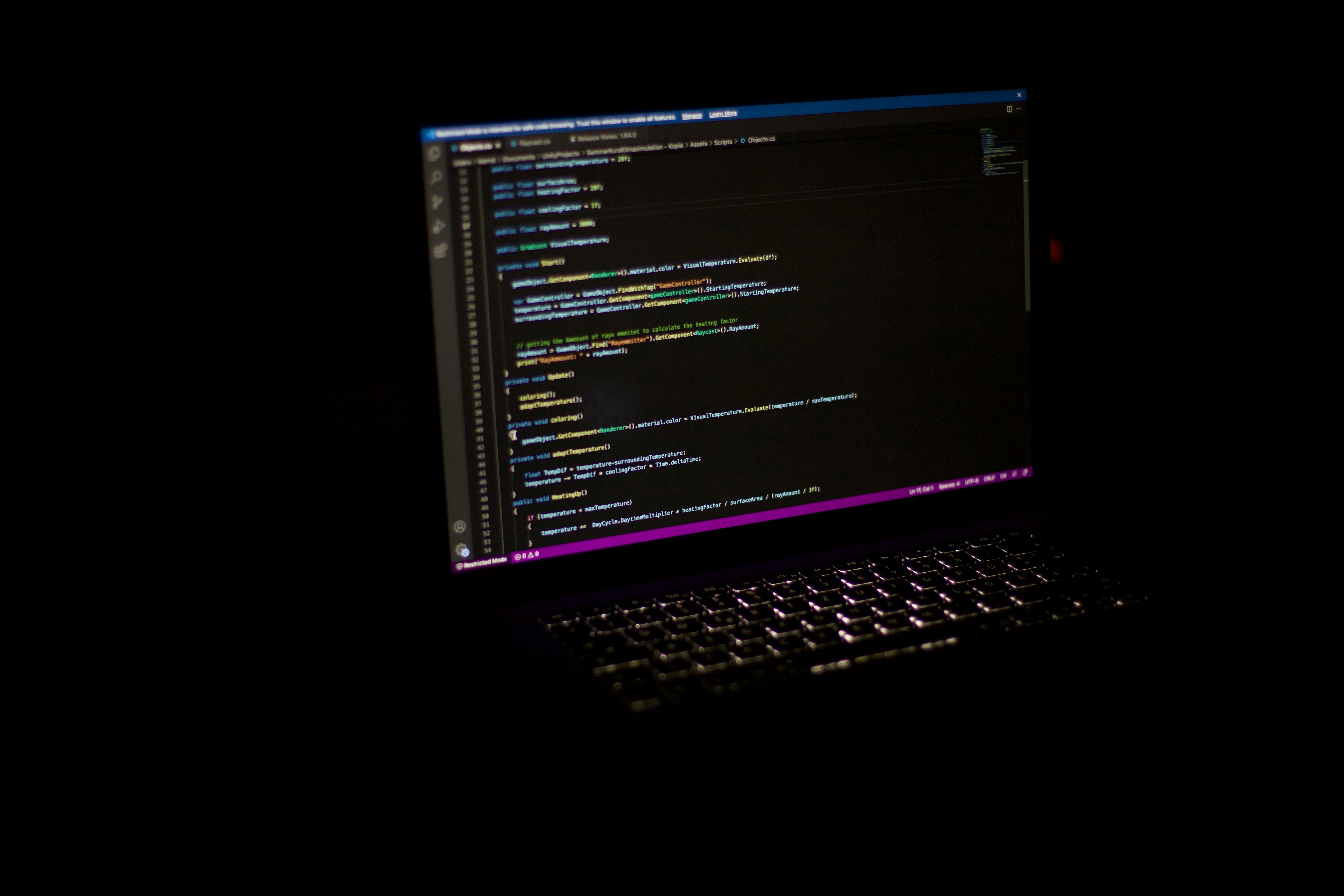 Web Development